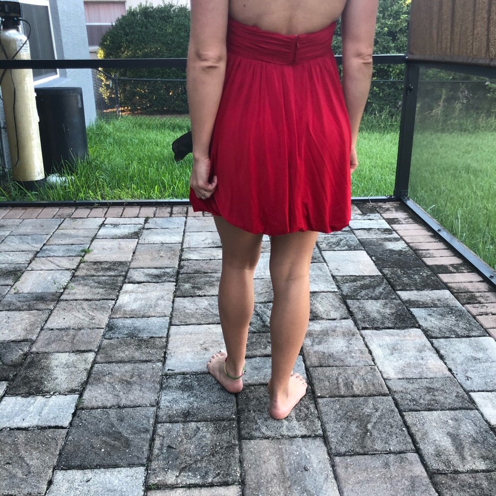 Cache dress - Picture 2 of 2